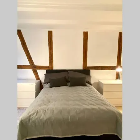 Luxury 'kings Garden' City-flat In Center Of Town Copenhagen