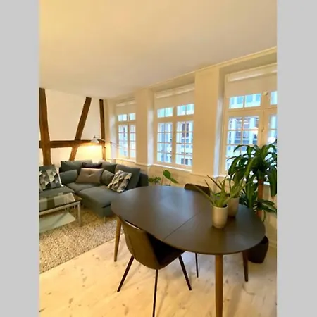 Luxury 'kings Garden' City-flat In Center Of Town Copenhagen