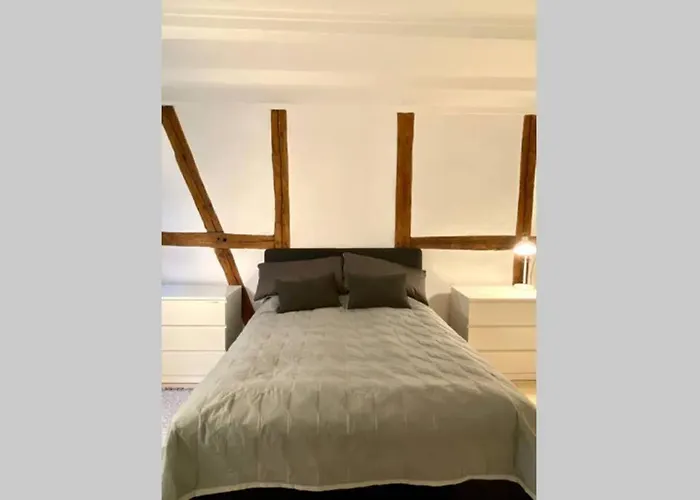 Luxury 'kings Garden' City-flat In Center Of Town Copenhagen