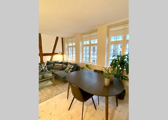 Luxury 'kings Garden' City-flat In Center Of Town Copenhagen